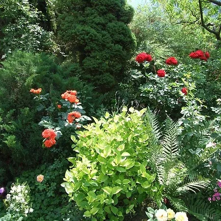 Garni Rebhof Gasthof 2*