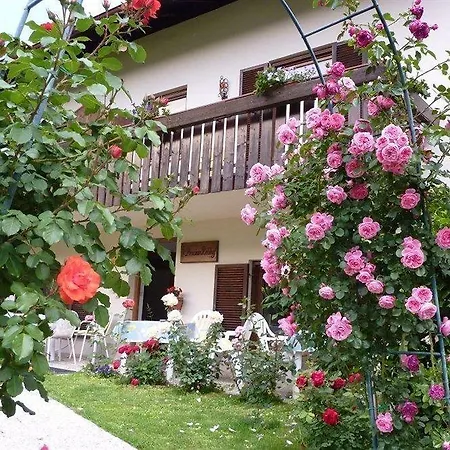 Garni Rebhof 2* Nals